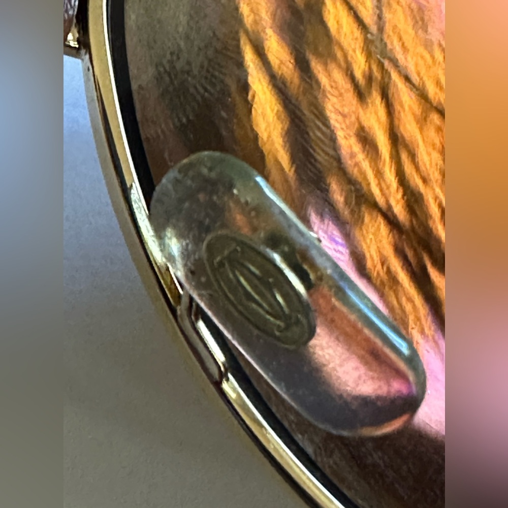 Cartier Santos Dumont sunglasses - Picture 6 of 9